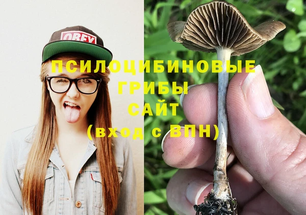 тгк Беломорск