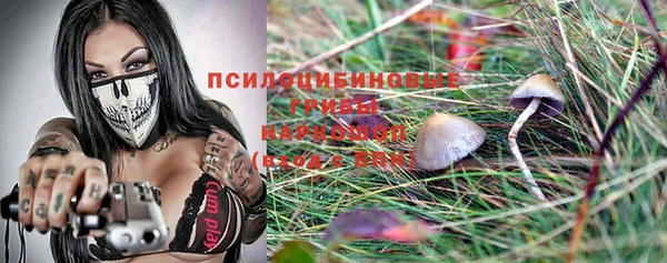 тгк Беломорск