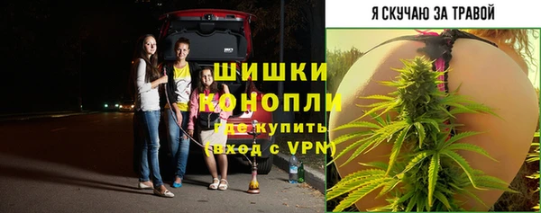 тгк Беломорск